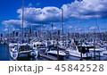 Auckland harbor New Zealand 45842528