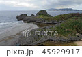 沖縄県恩納村の真栄田岬 45929917