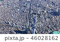 東京空撮東京スカイツリーアップ 46028162