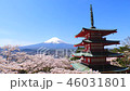 富士山と桜と五重塔ズームイン 46031801