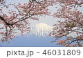 富士山と桜⑥ 46031809