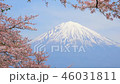 富士山と桜⑤ 46031811
