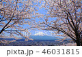 富士山と桜① 46031815