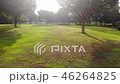 夕方の公園風景　ドローン撮影 46264825