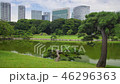 Garden in Tokyo City 46296363