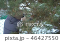 Attractive woman vigorously saws pine branches in her snowy winter garden for Merry Christmas and 46427550