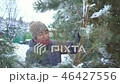 Attractive woman holding and carrying large branch of pine with snow in her winter garden for Merry 46427556