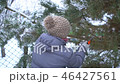 Attractive woman sawing pine branches in her winter snowy garden for Merry Christmas and Happy New 46427561