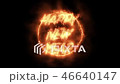 HAPPY NEW YEAR II of flame 46640147