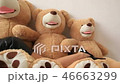 Young girl layng on big and huge teddy bears 46663299