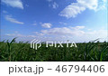 satoukibi_Juice_Vol_1_025 46794406