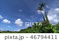 papaya_Juice_Vol_1_029 46794411
