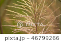 satoukibi_flower_Juice_Vol_1_048 46799266
