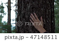 the hand on the tree 47148511