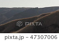 阿蘇の風景 すすき 47307006
