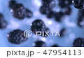 Blackberries and Blueberries. Slow motion. 47954113