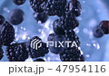 Blackberries and Blueberries. Slow motion. 47954116