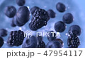 Blackberries and Blueberries. Slow motion. 47954117