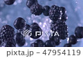 Blackberries and Blueberries. Slow motion. 47954119
