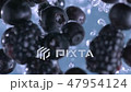 Blackberries and Blueberries. Slow motion. 47954124