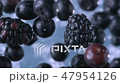 Blackberries and Blueberries. Slow motion. 47954126