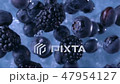 Blackberries and Blueberries. Slow motion. 47954127