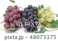 Three grape sets (slider photography) 48073175