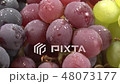 3 kinds of grapes (zoom up shooting) 48073177