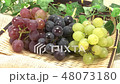 Three grape sets (zoom out shooting) 48073180