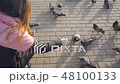 Young woman breaks cookies and feeds pigeons 48100133