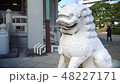 Guardian dog 48227171