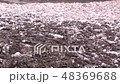 Garbage, dirt, which destroy the environment 48369688