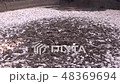 Garbage, dirt, which destroy the environment 48369694
