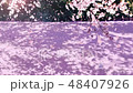弘前桜花筏アニメーション 48407926