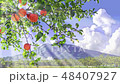 岩木山とりんご木漏れ日アニメーション 48407927