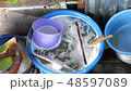 Street vendors washing dishes 48597089