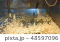 Making popcorn  48597096