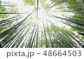 48664503