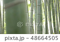 48664505