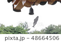 48664506