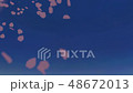 跳舞櫻花版3 48672013