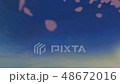 跳舞櫻花版1 48672016