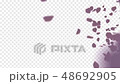 跳舞櫻花版4 48692905