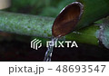 竹の湧水　 48693547