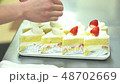 ストロベリーショートケーキ 48702669