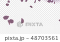 跳舞櫻花版5 48703561