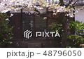 Cherry blossom petals dancing in the wind 48796050