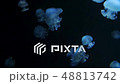 Underwater video with jellyfish medusas in blue aquarium color water 48813742
