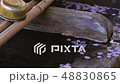 Cherry blossom petals floating in water 48830865