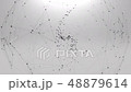 grey background with rotating plexus and particle  48879614